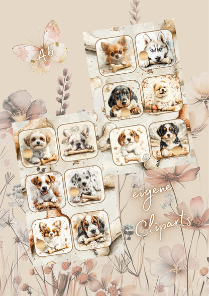 It‘s all about Dogs!