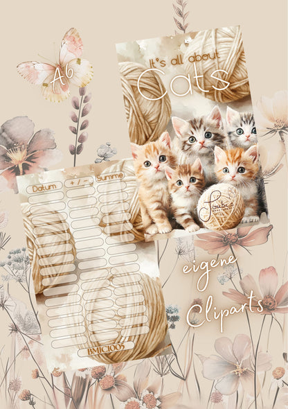 It‘s all about Cats!