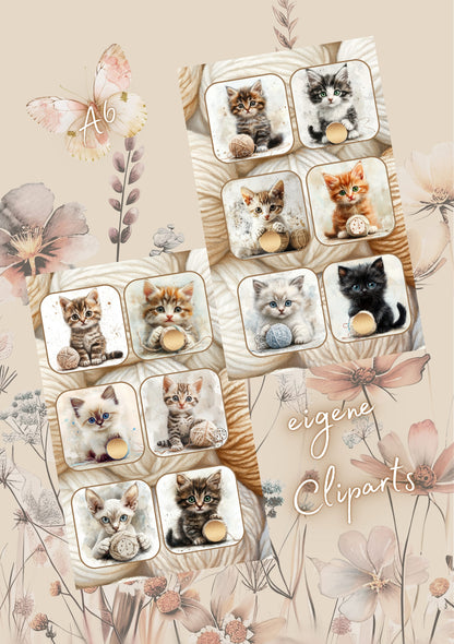 It‘s all about Cats!