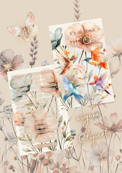 It‘s all about Birds!