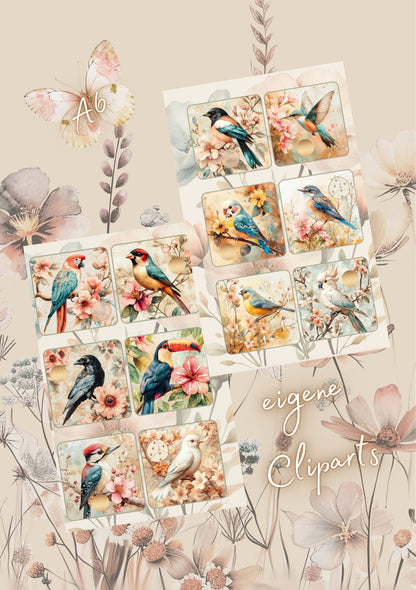 It‘s all about Birds!