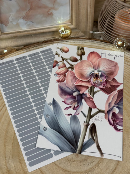 Orchidee