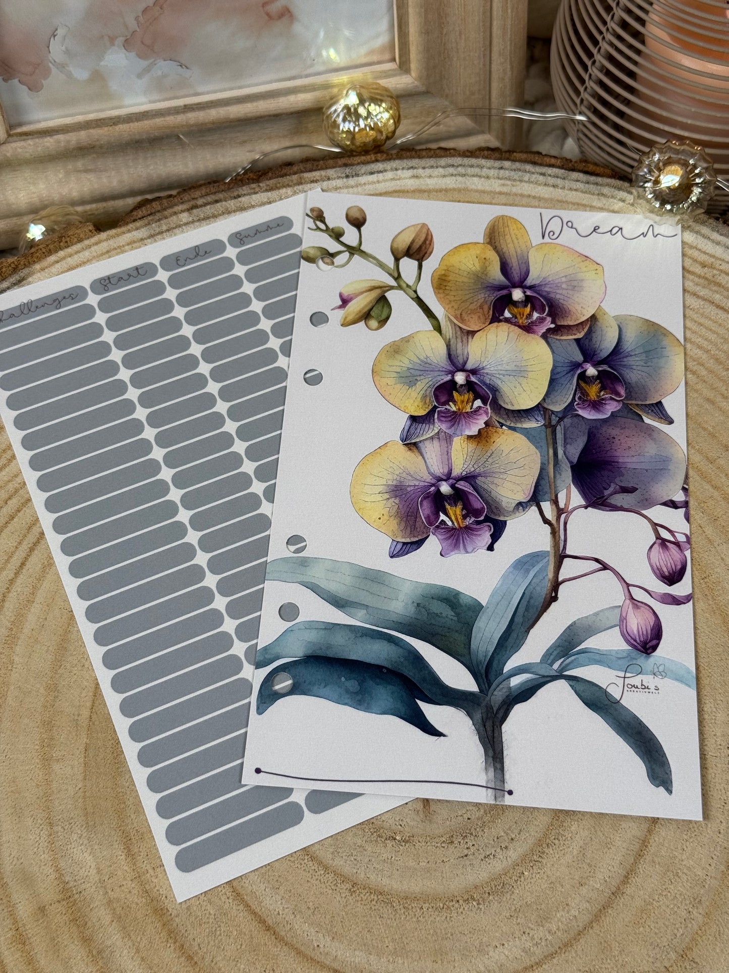 Orchidee