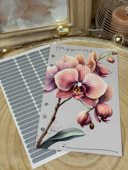 Orchidee