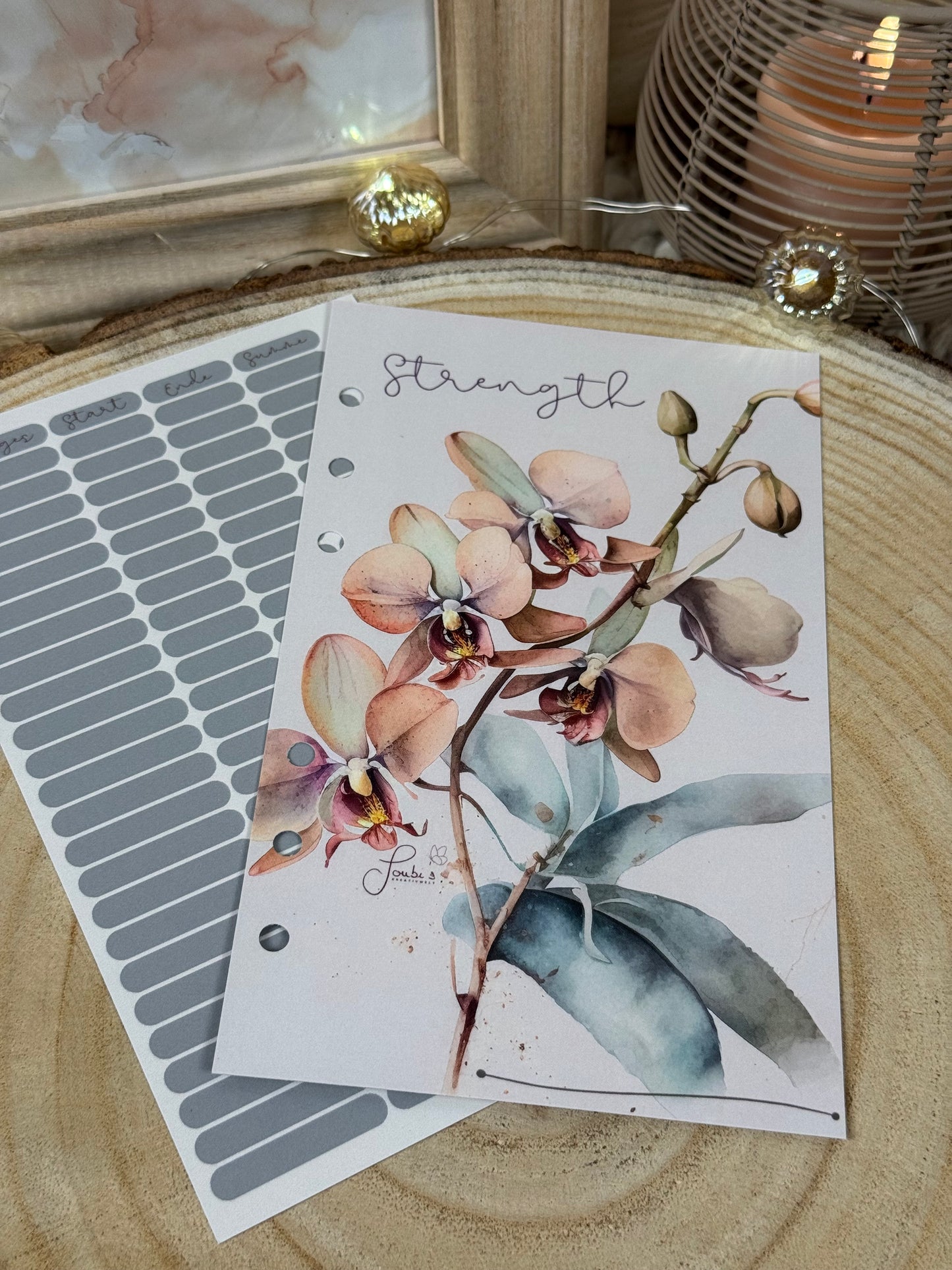 Orchidee