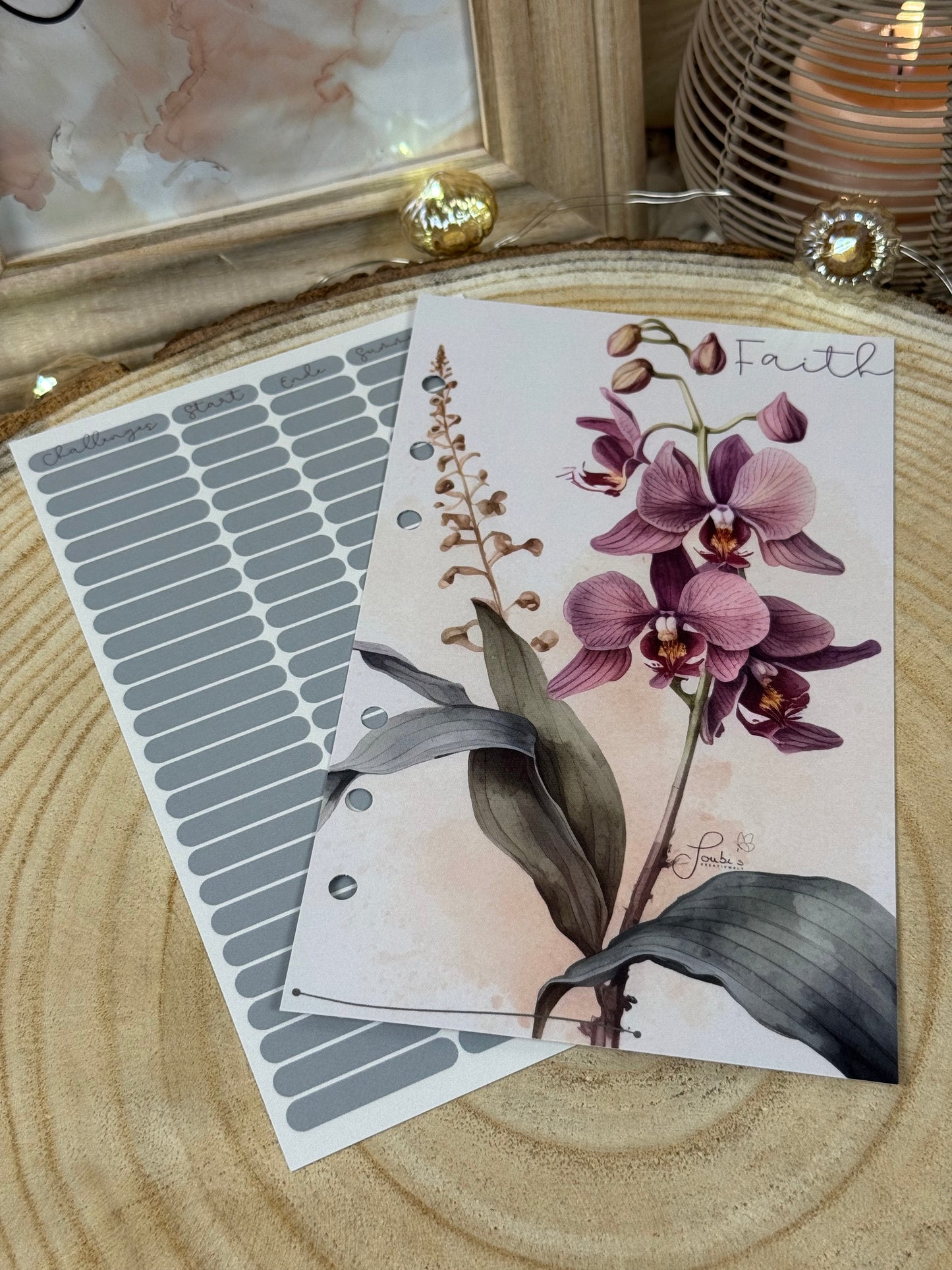Orchidee