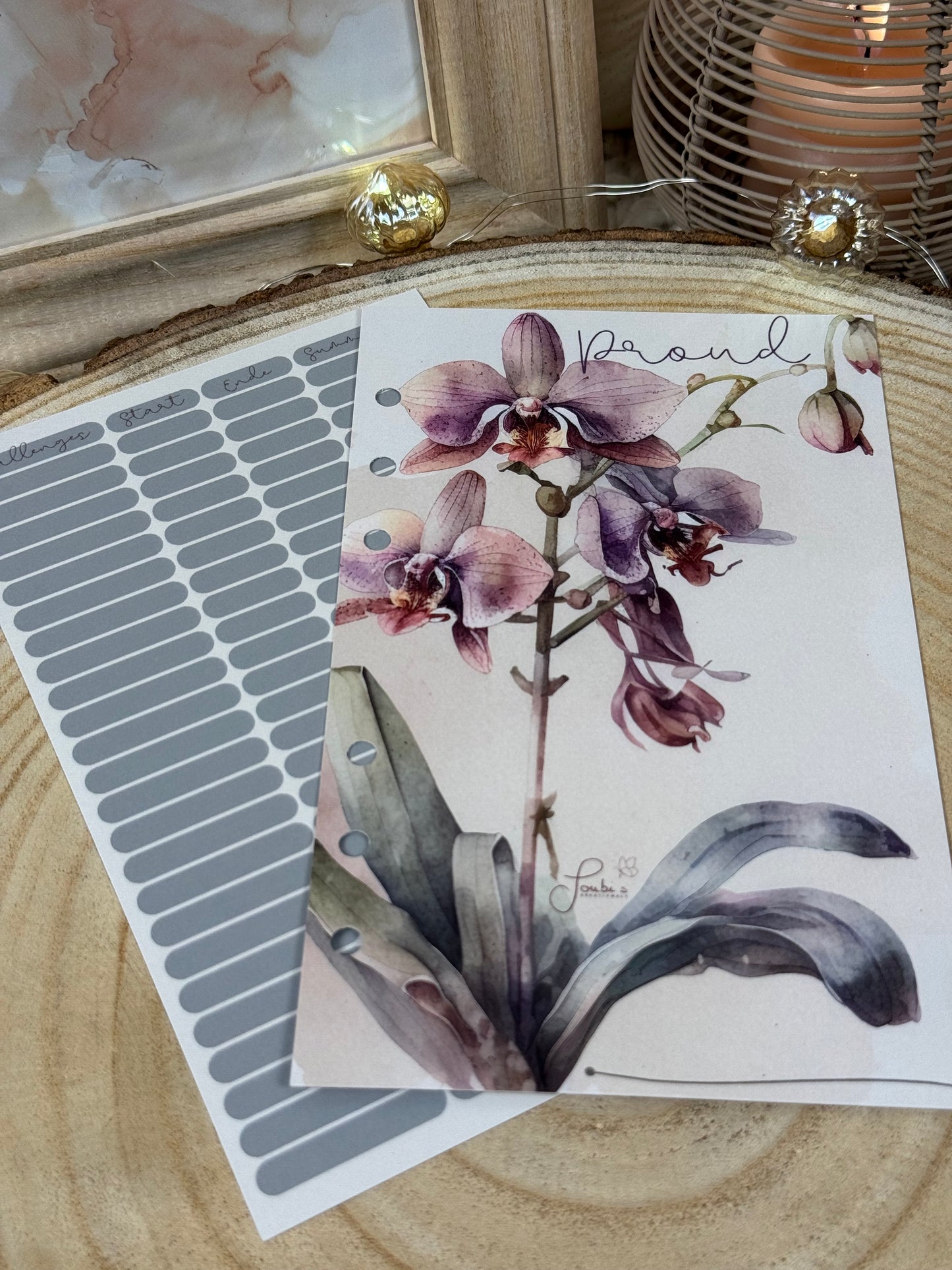 Orchidee