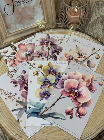 Orchidee