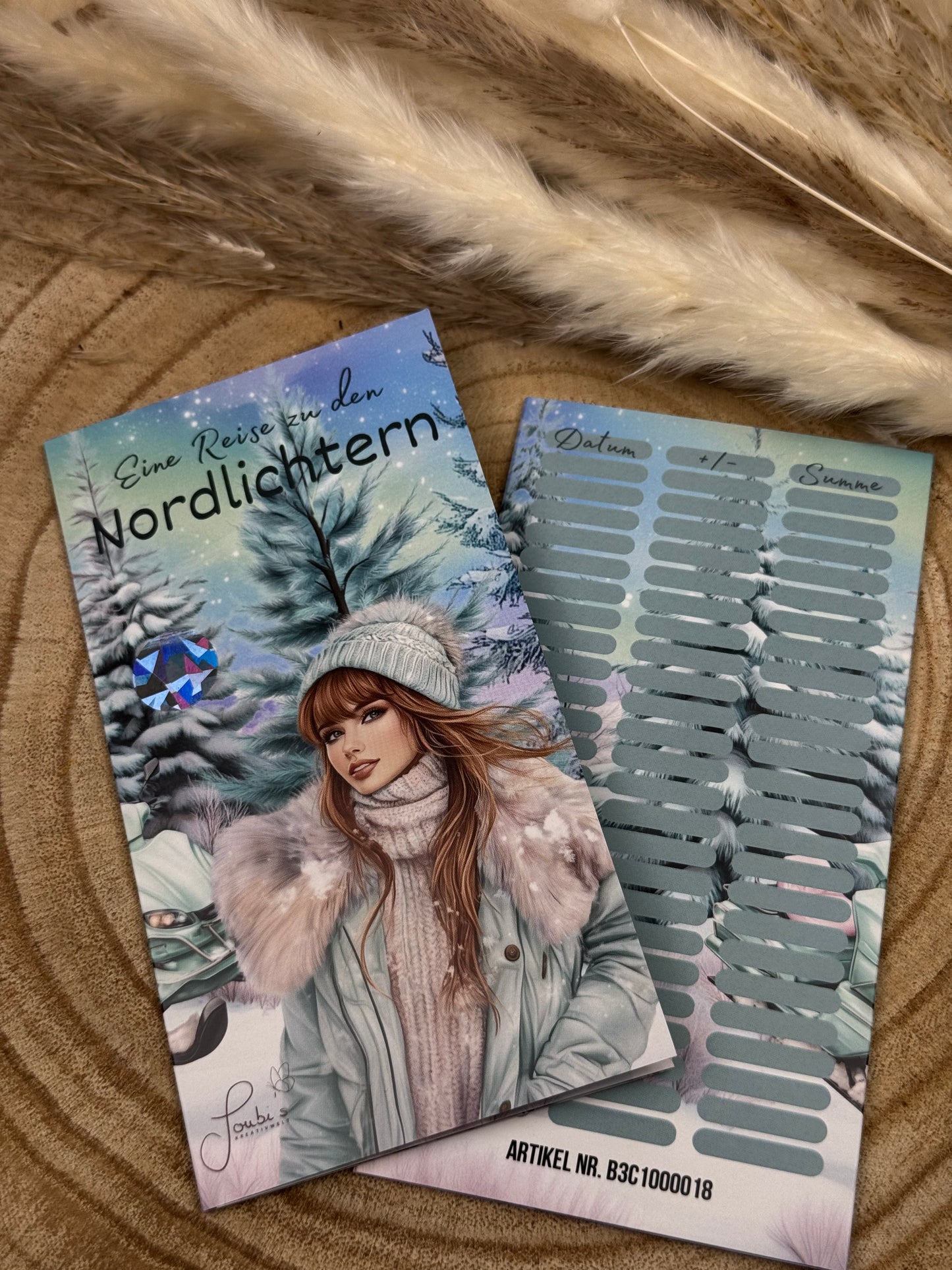 Eine Reise zu den Nordlichtern